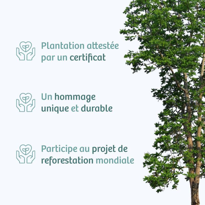 Planter un arbre en hommage à Sr Michel RAULT